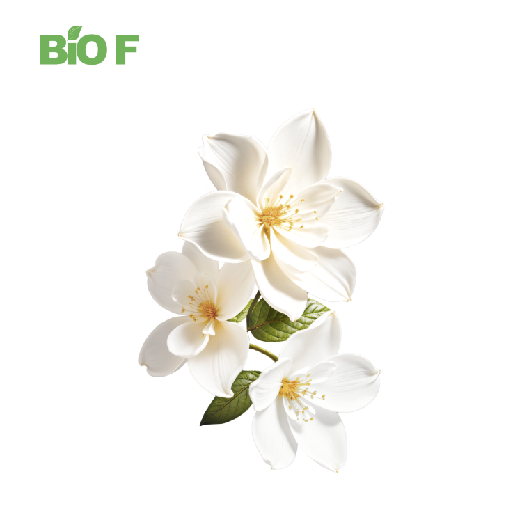 Natural Plant Gardenia Jasminoides Extract Geniposide Genipin Gardenia Extract