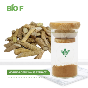 Top Quality Natural 5:1 Morinda Officinalis Root Extract Morinda Officinalis Extract Powder