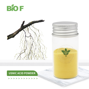 Cosmetic Raw Material 98% Usnic Acid Powder CAS 125-46-2 Usnea Extract / Lichen Extract Powder