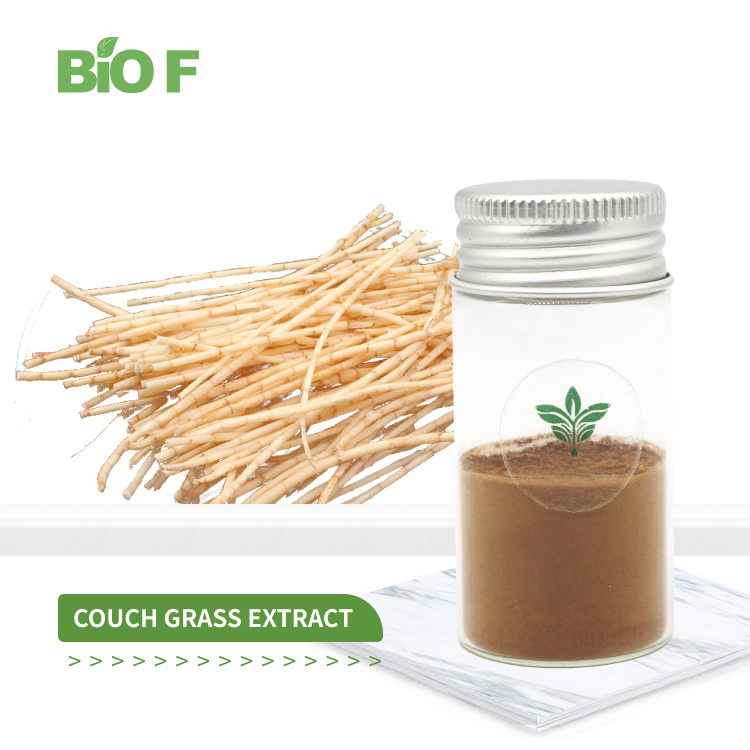 Natural Plant Extract Couch Grass Extract Powder 10:1 for Health Care