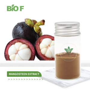 High Quality Natural 10:1 Mangosteen Fruit Extract Powder Alpha-Mangostin