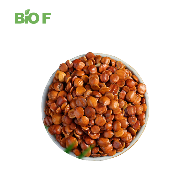 Food Grade Natural Herb Jujuboside Jujube Seed Extract Wild Jujube Extract