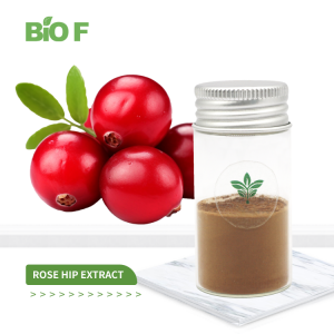 Rose Hip Powder Rose Hip Extract Natural Anti-Aging in Bulk