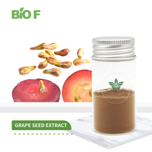 High Quality Natural Cas 84929-27-1 Grape Seed Extract Powder in Stock