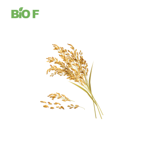 Hot Selling High Quality Oryza Sativa Ferulic Acid Bran Extract Powder in Bulk