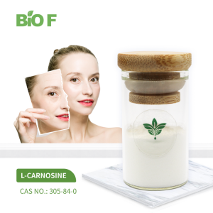 Factory Supply L-Carnosine Carnosine Powder