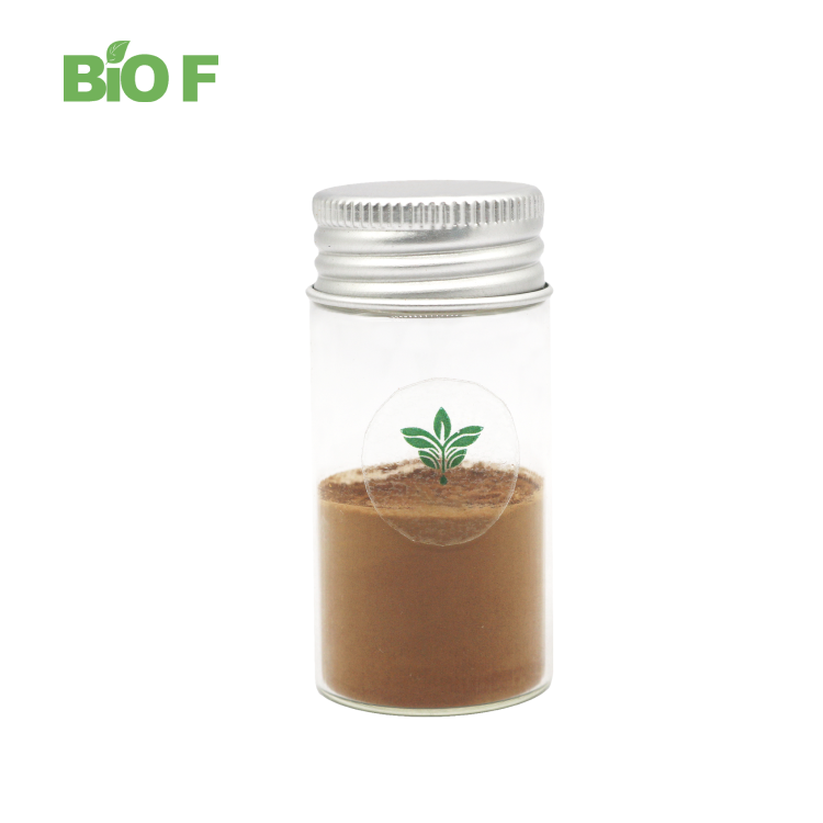 Pure Natural Horsetail Grass Extract Powder Silica 7% Horsetail Extract