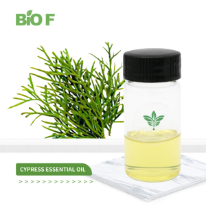 Pure Natural Organic Cypress Essential Oil