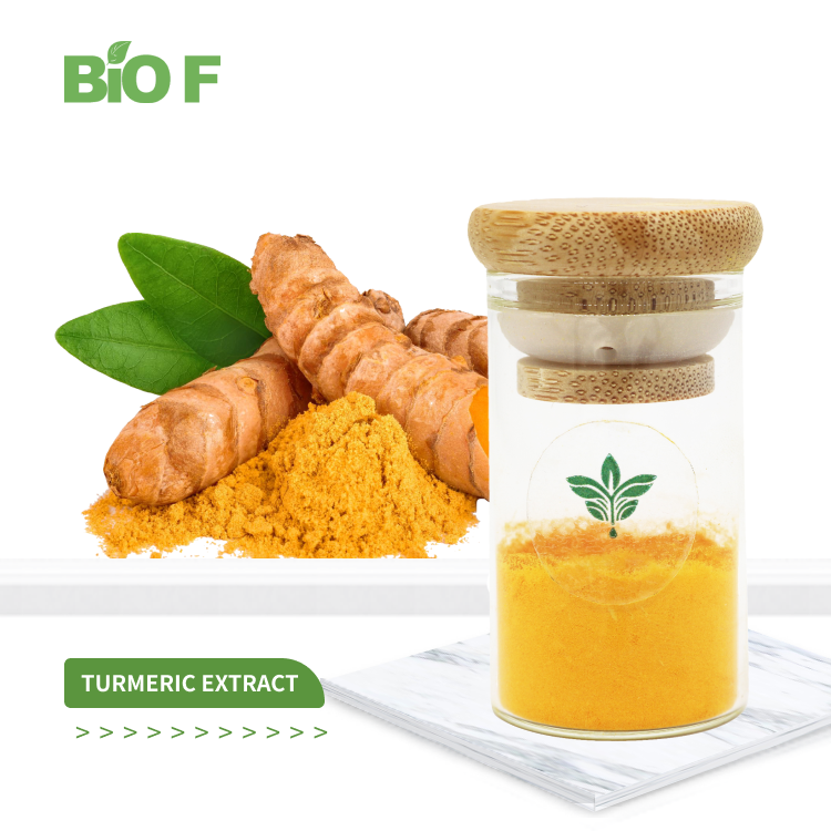 What is the benefit of turmeric extract?