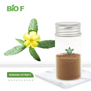 Hot Selling High Quality Damiana Extract Powder 10:1 for Sale