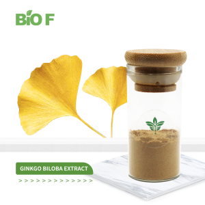 Hot Selling Premium Quality Natural Plant Ginkgo Biloba Extract in Bulk