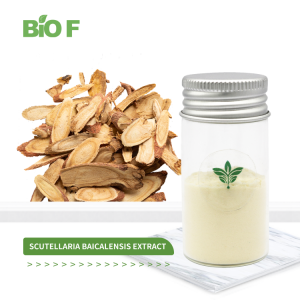 Wholesale Herb Scutellaria Baicalensis Extract Baicalin Powder