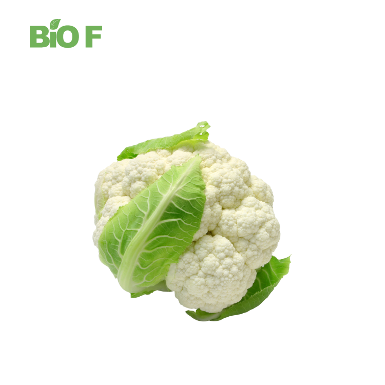Wholesale Pure Natural 10% Broccoli Extract Sulforaphane Broccoli Extract Powder