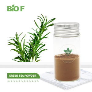 High Quality Rosemary Extract Powder Rosmarinic Acid 10%~98%