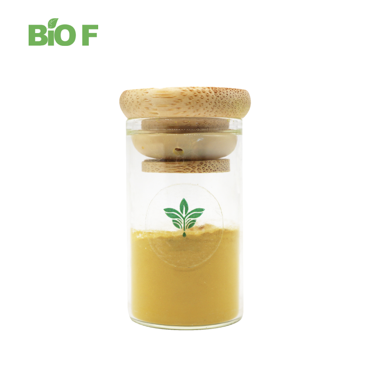 Larch Wood Extract Dihydroquercetin Taxifolin Powder 98% Dihydroquercetin