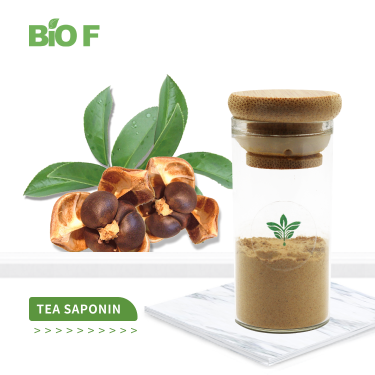 茶籽提取物