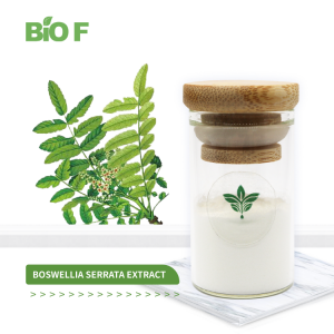 High Quality Boswelia Serrata Extract Boswellic Acid with 65% Boswellic Acid in Bulk