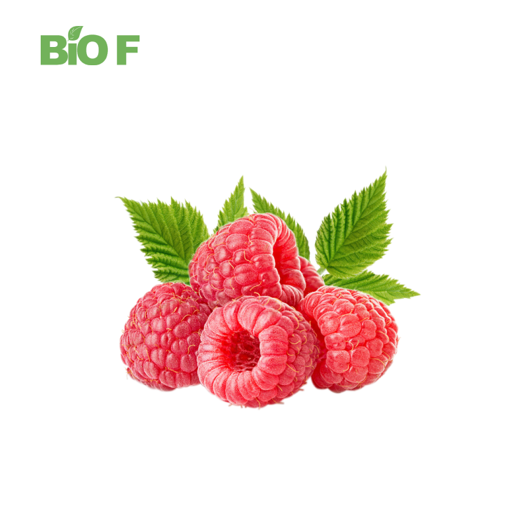 Wholesale High Quality Cosmetic Grade Pure Natural Raspberry Ketone Extract Powder