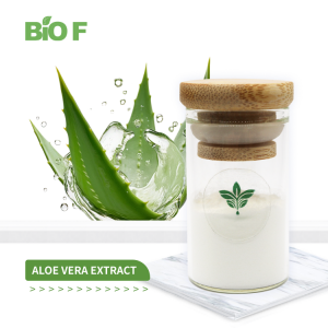 Pure and Natural Aloe Vera Extract Best for Health and Immunity Aloe Barbadensis Extract Powder