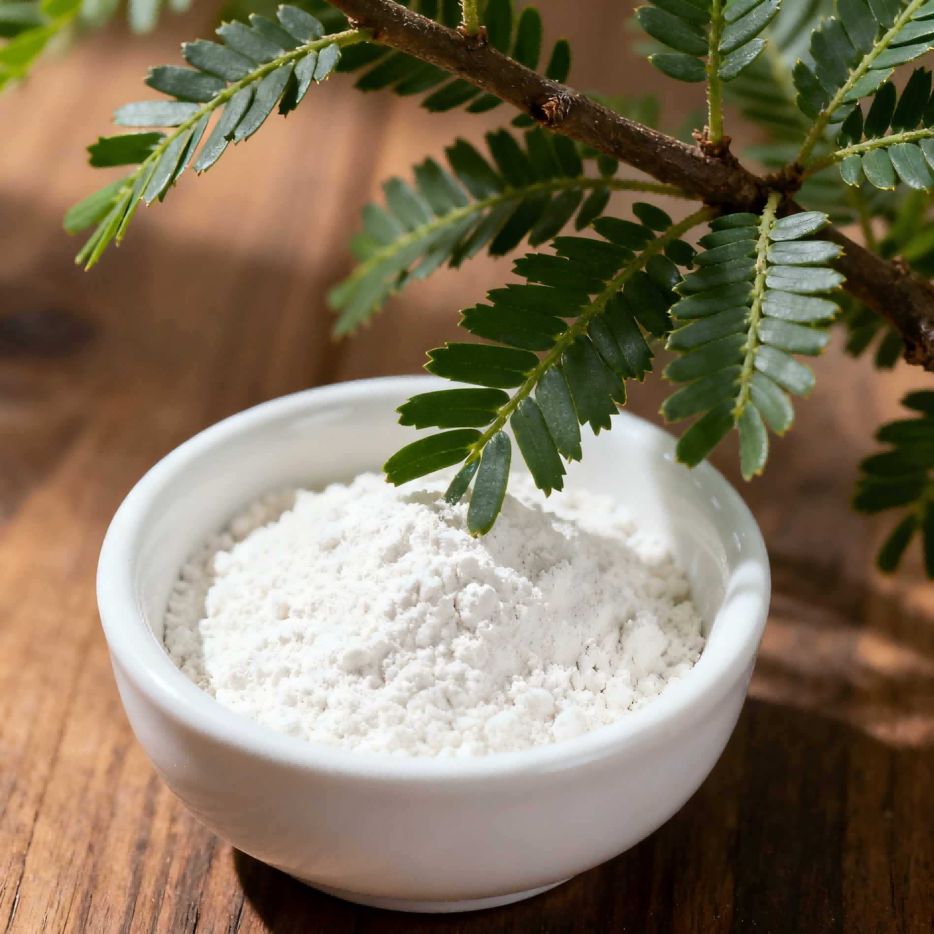 What is Saw Palmetto Extract Good for?