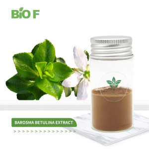 Wholesale Buchu Leaves Extract Barosma Betulina Powder