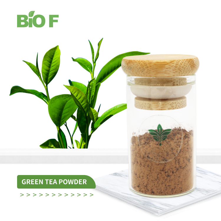 绿茶提取物