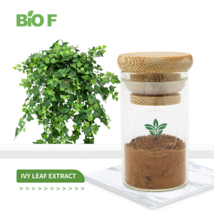 Wholesale Natural Pure Ivy Leaf Herbal Plant Extract Hederacoside C 10% Ivy Leaf Extract Powder