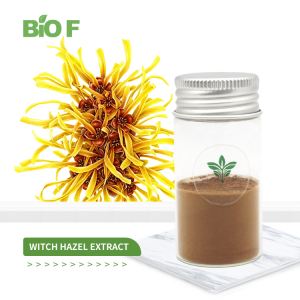 High Quality Hamamelis Virginiana Extract Powder 10:1 Witch Hazel Extract Hamamelis Virginiana Extract