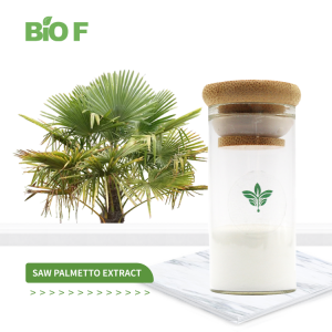 Wholesale Top Grade Saw Palmetto Extract Powder for Hair