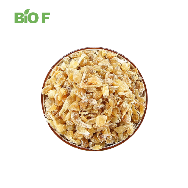 High Quality 10:1 Bulbus Allii Macrostemonis Extract in Bulk
