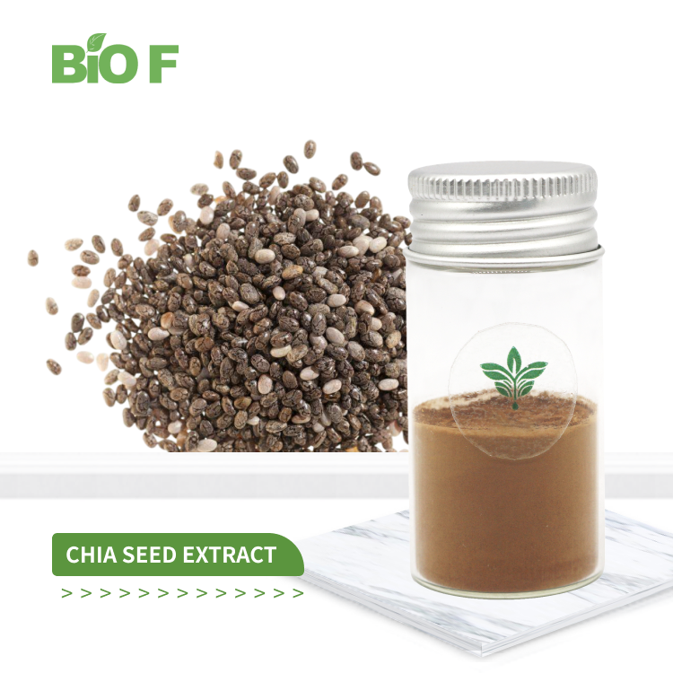 Best Price Herbal Extract 10:1 Chia Seeds Extract in Bulk