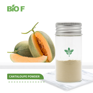 Natural Pure Freeze Dried Cantaloupe Powder Cantaloupe Juice Powder
