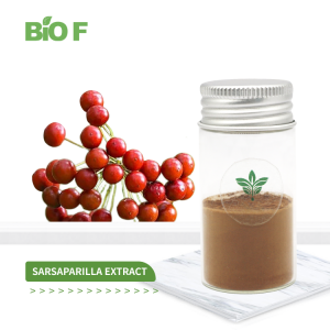 Wholesale Price Herb Supplement Sarsaparilla Root Extract Powder 10:1 Sarsaparilla Extract