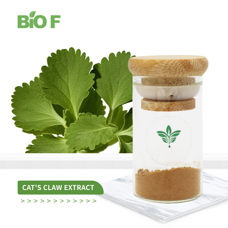 猫爪草提取物