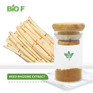 Natural Reed Root Flavonoids Reed Root Extract 10:1 Reed Rhizome Extract Powder