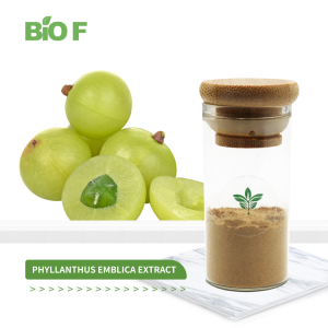 Pure Wholesale Phyllanthus Emblica Extract Fresh Amla Fruits 30% Polyphenols powder