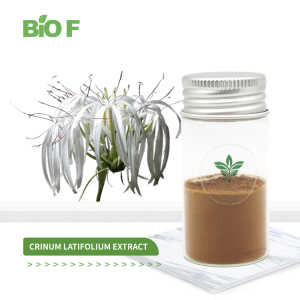 Wholesale Price High Quality Natural 100% Crinum Latifolium Extract Crinum Latifolium Powder