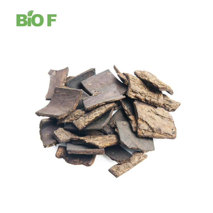 Wholesale Price Eucommia Powder Eucommia Ulmoides Bark Extract 10% Chlorogenic Acid with Free Sample