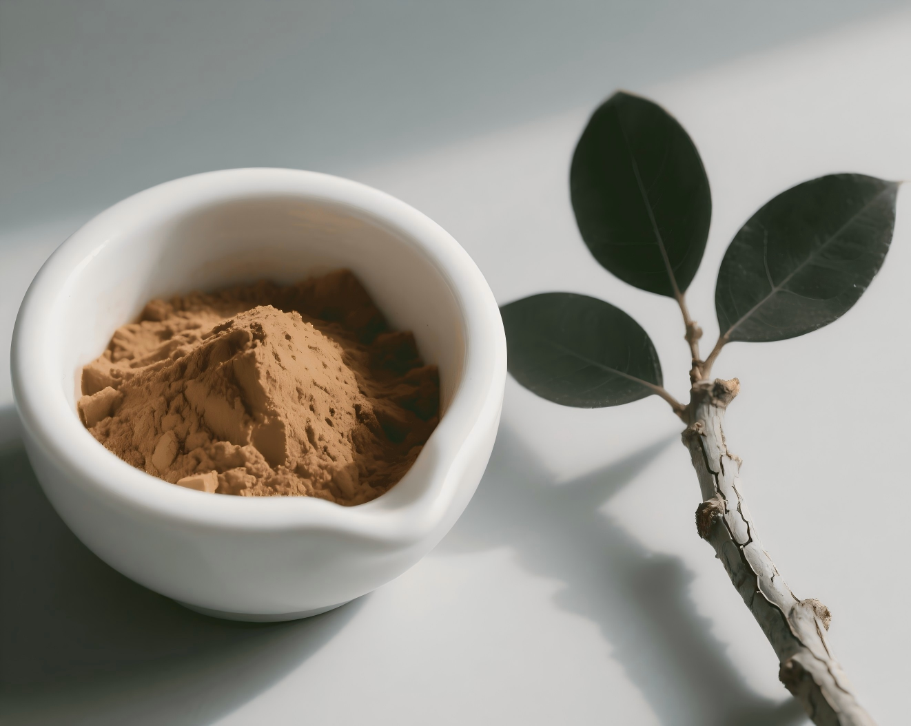 What Is Eucommia Ulmoides Good For?