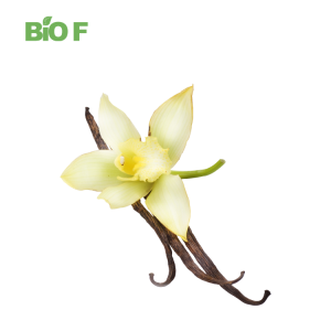 Wholesale Price Pure Natural Vanilla Bean Extract Powder Vanilla Extract