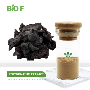 Natural Polygonatum Extract Powder Huang Jing Polygonatum Sibiricum Root Extract