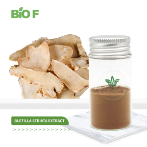 Herbal Extract 10:1 Bletilla Striata Extract Factory Price