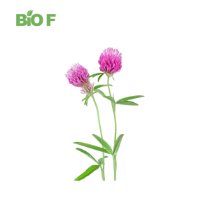 High Quality Natural Herbal Biochanin A Supplement Red Clover Extract