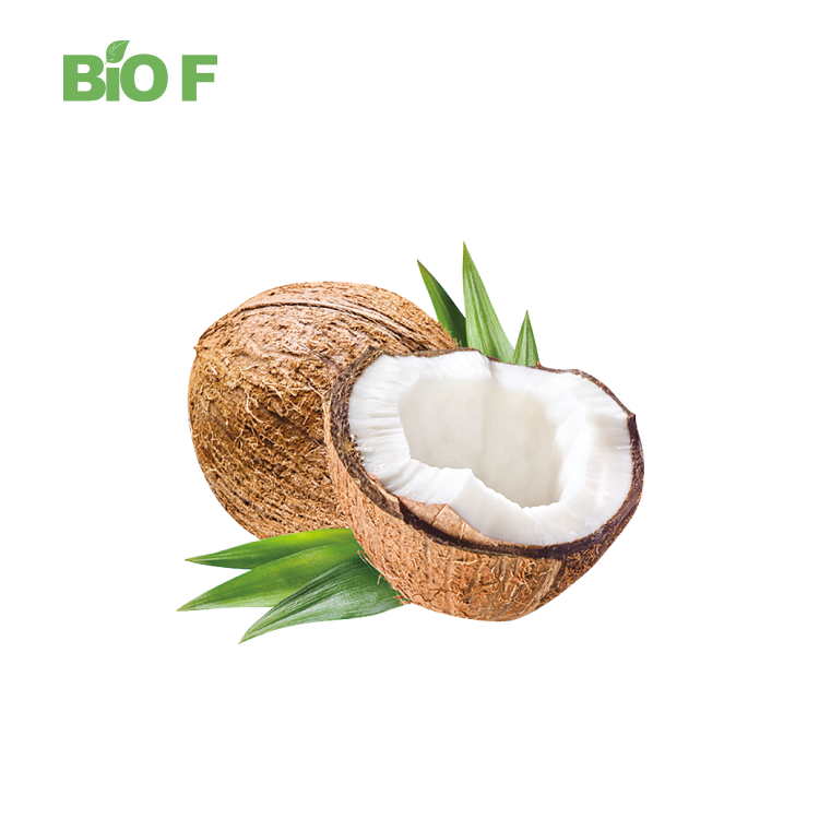 High Quality Pure Coconut Powder Water Soluble Coconut Fruit Powder