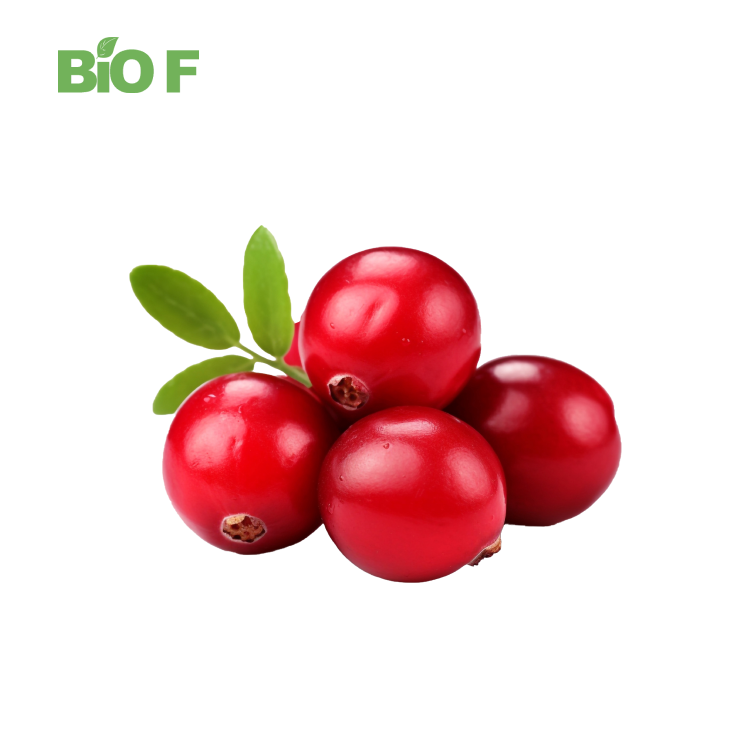 Rose Hip Powder Rose Hip Extract Natural Anti-Aging in Bulk