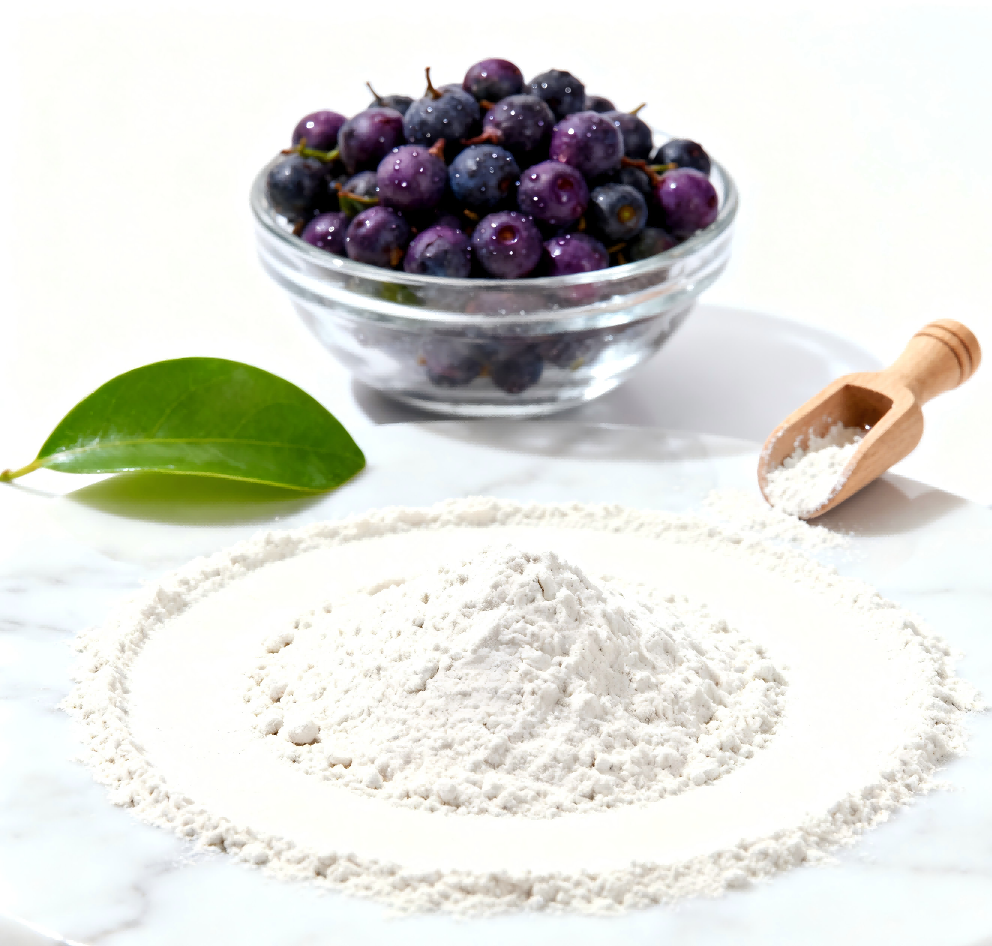 What is Ligustrum Lucidum Extract Used for?