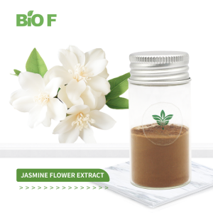 Whole Price High Quality Jasmine Flower Extract Powder in Bulk