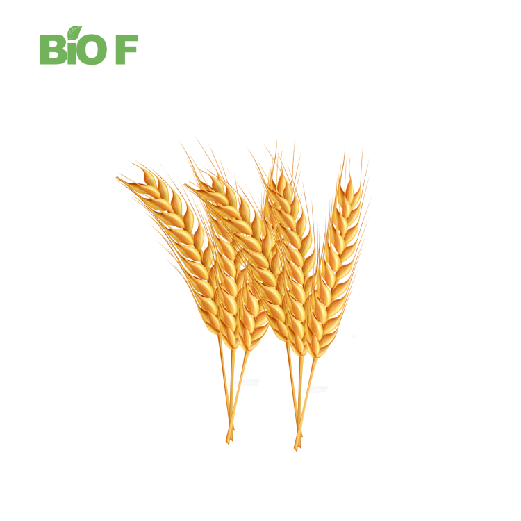 Best Price Wheat Germ Extract Powder Spermidine Powder in Bulk