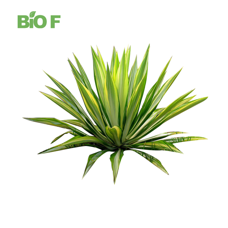 Best Price Feed Additive Natural Sarsaponin 30% Yucca Extract Powder