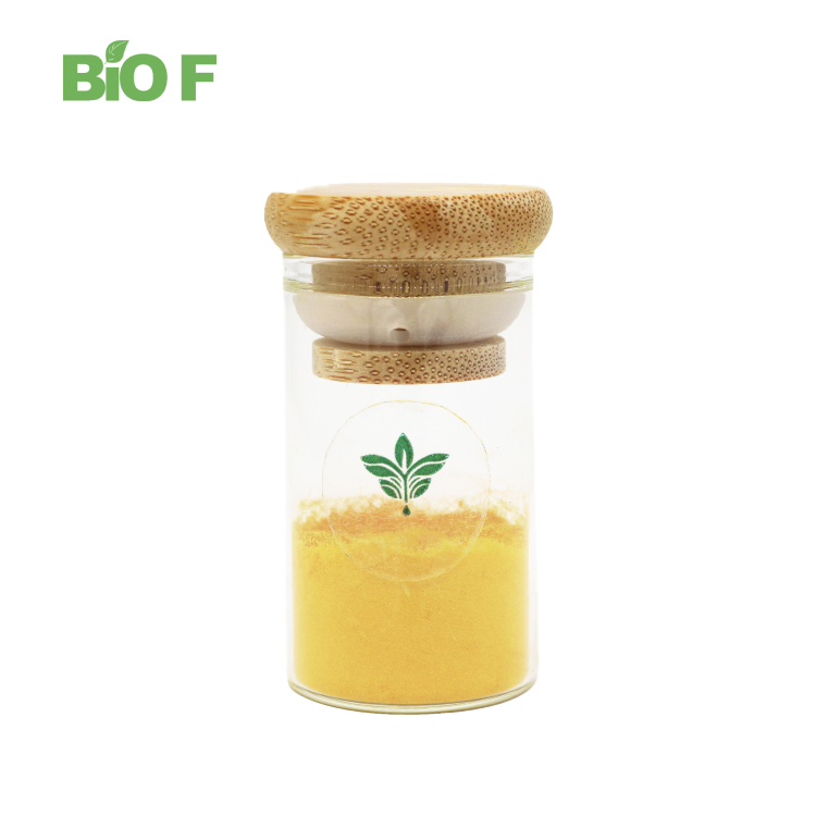 Best Selling Papaya Powder Yellow Papaya Powder Papaya Extract Powder